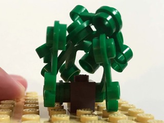 植栽A9.jpg