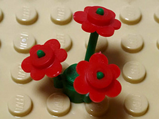 花・基本.jpg